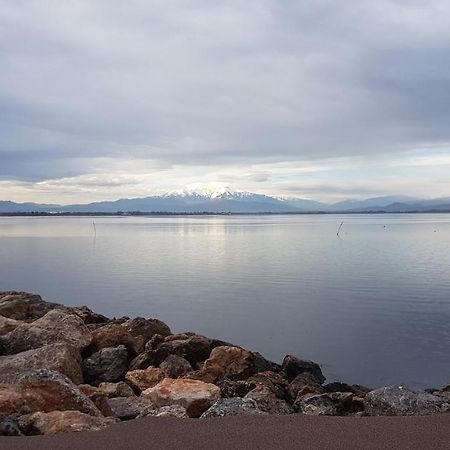 Apartmán Cap Coudalere Le Barcarès Exteriér fotografie